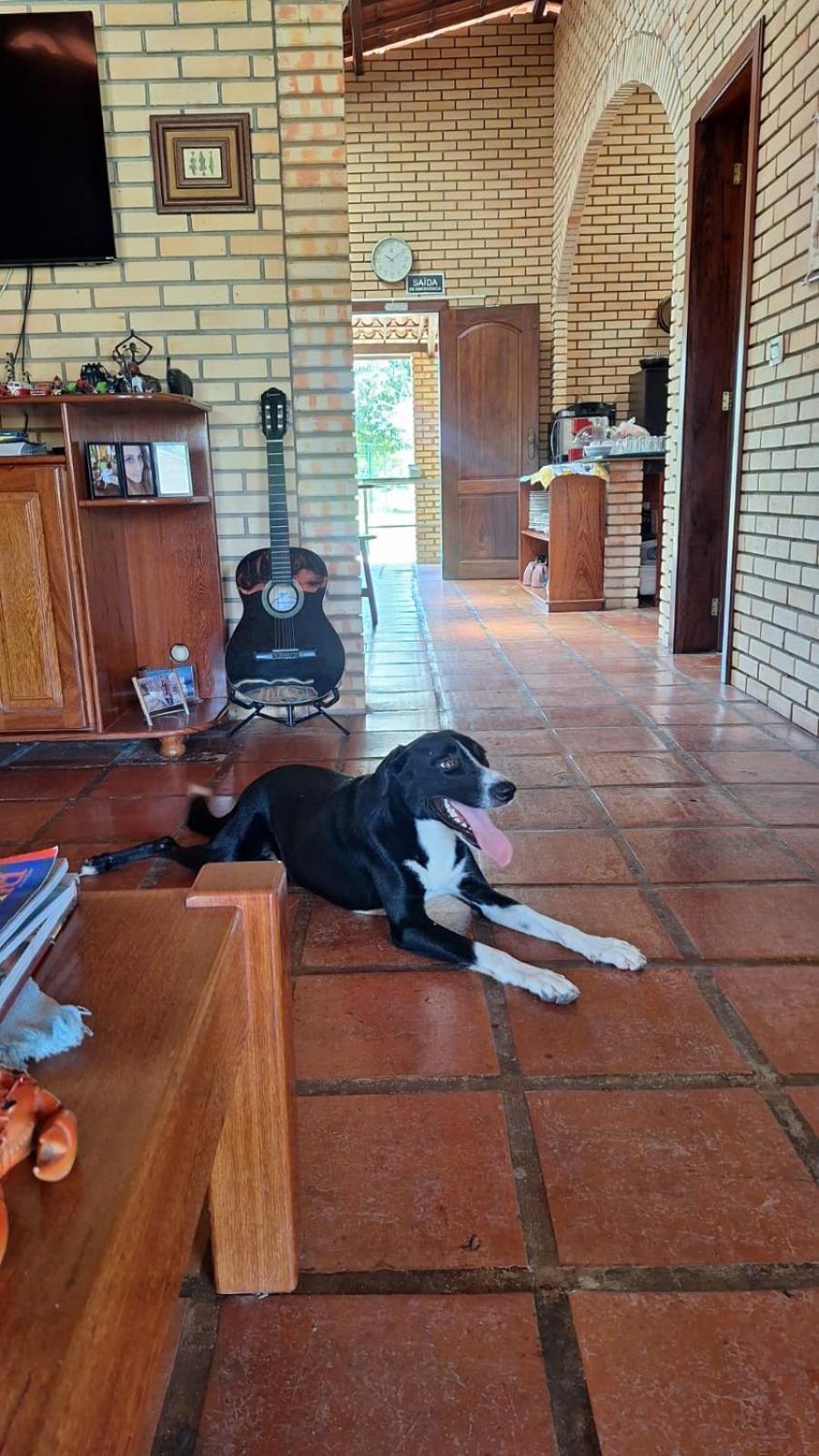 Pousada Solar Das Fontes Beberibe Buitenkant foto